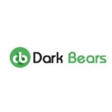 Dark Bears Web Solutions profile