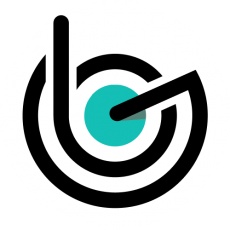 BrandGeko Digital Agency profile