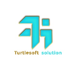 TurtleSoft Solution profile