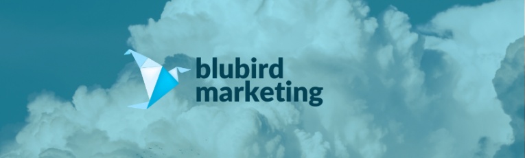 Blubird Marketing cover picture