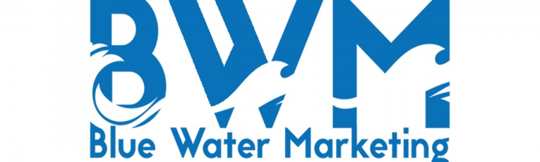 Blue Water Marketing cover picture