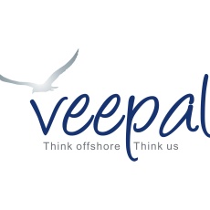 Veepal IT Services Pvt. Ltd. profile