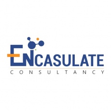 Encasulate Consultancy profile