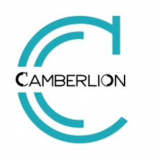 Camberlion profile