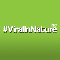 Viral In Nature profile