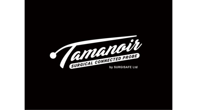 Tamanoir - Naming, Brand Identity by BrandSilver
