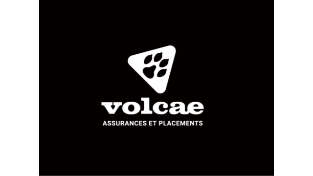 Volcae - Brand Identity Evolution by BrandSilver