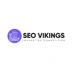 SEO Vikings profile