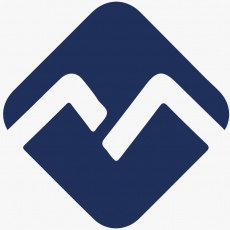 Motley Peers profile