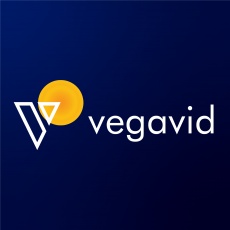 Vegavid Technology profile