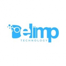 Delimp Technology profile