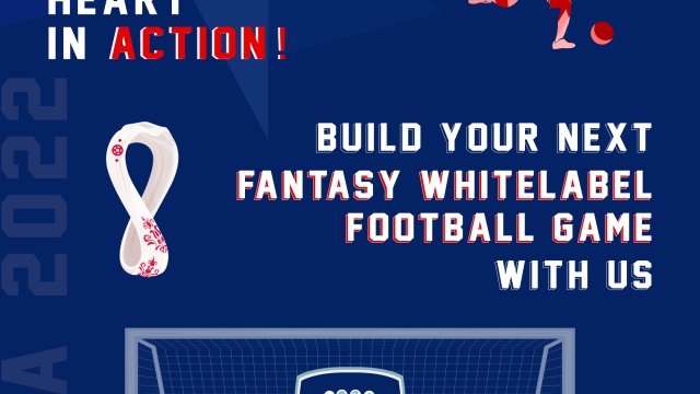 Fantasy sports app solution by Fansportiz