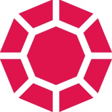 Rubenstein Technology Group profile