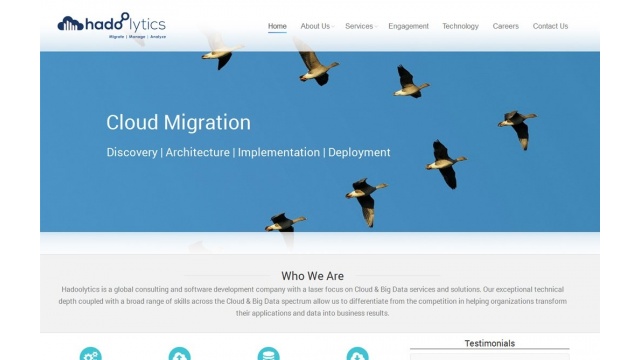 Website design for Hadoolytics by Burgeon Software