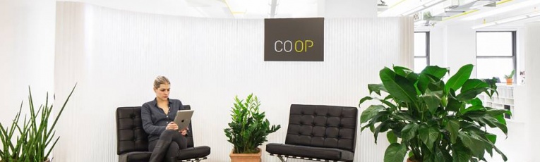 CO OP Brand Co cover picture
