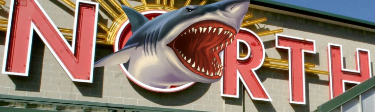 Makeshark cover picture