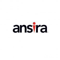 Ansira profile
