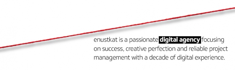 Enüstkat Interactive cover picture