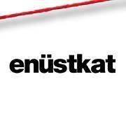 Enüstkat Interactive profile