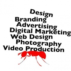 REDANT Media and Marketing profile