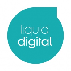 Liquid Digital profile