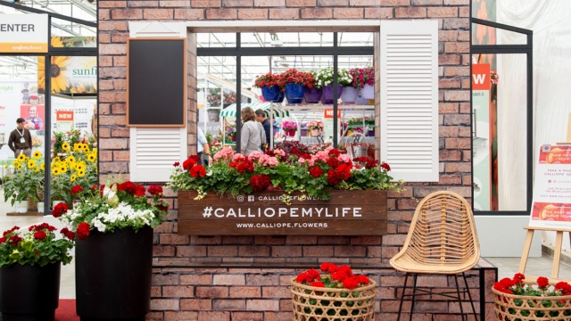 Calliope Flowers by Eatsleepthink