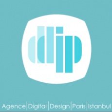 ddip – Digital Design Integrated Paris profile