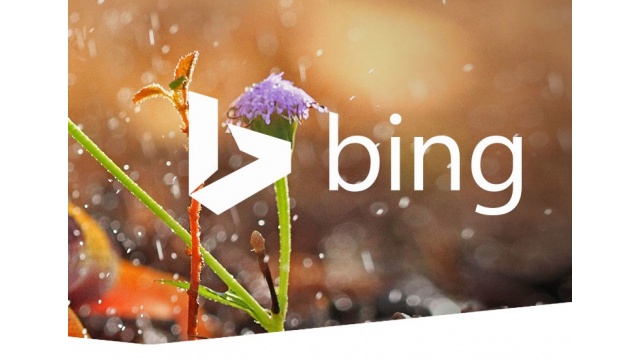 Bing by Hacker Agency