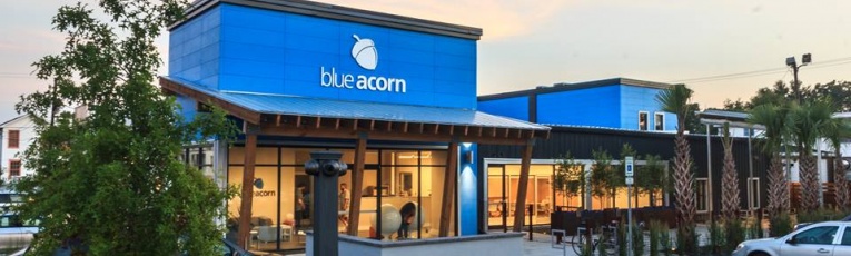 Blue Acorn cover picture