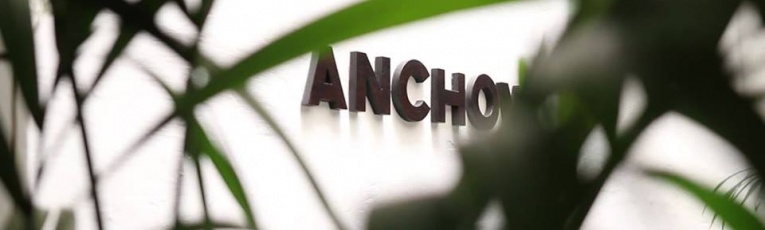 ANCHOVY cover picture