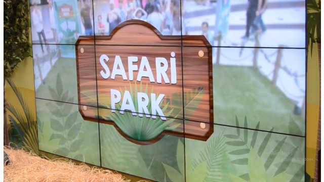 Safari Park by Codemodeon