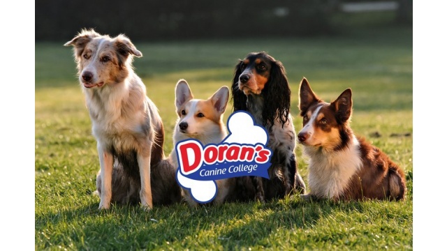 Dorans by Social Firm