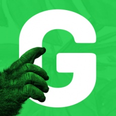 Gorilla profile