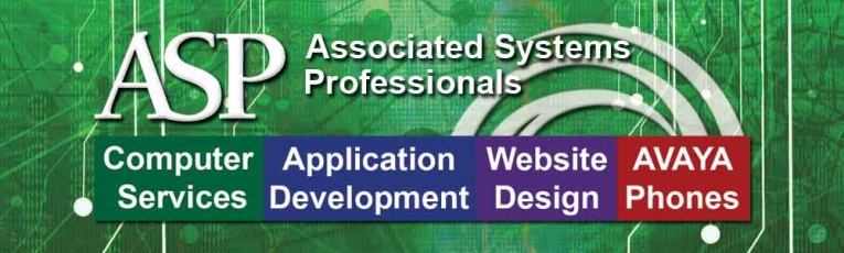 Associated Systems Professionals cover picture