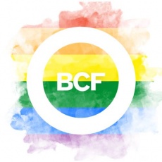 BCF Agency profile