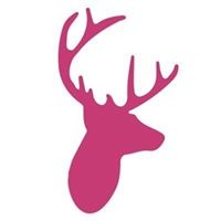 Big Eye Deers Ltd. profile