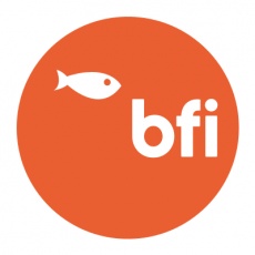 BF Internet (BFI) profile