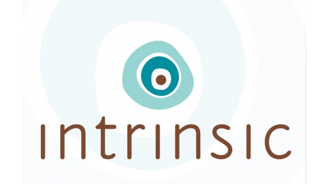 INTRINSIC : Identity and Website by Quesinberry and Associates