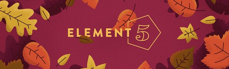 Element5 Digital cover picture