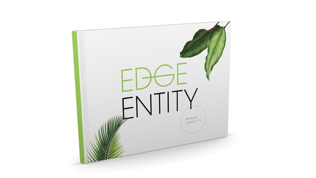 Edge Entity Brand Guide by RedRover