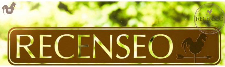 Recenseo Ltd cover picture
