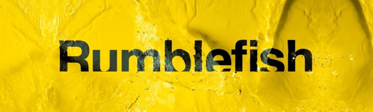 Rumblefish cover picture