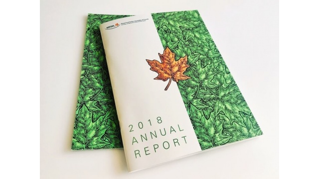 MFDA – ANNUAL REPORT 2018 by C ( Group