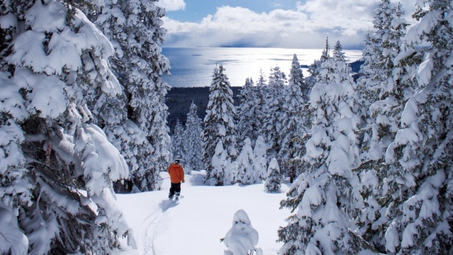 Ski Lake Tahoe by CCMedia