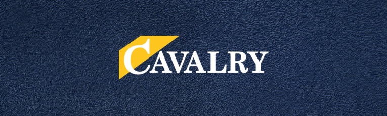 Cavalry cover picture