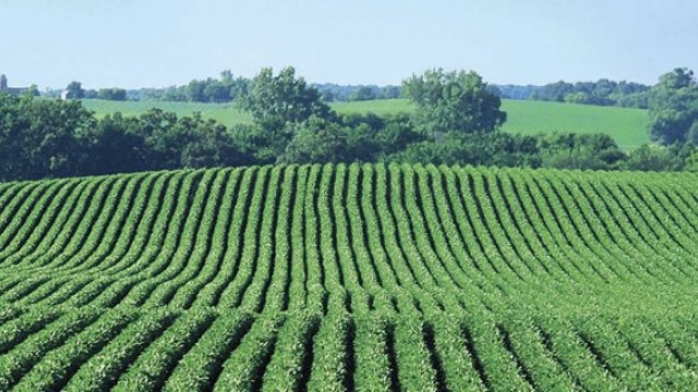 Indiana Soybean Alliance by CVR