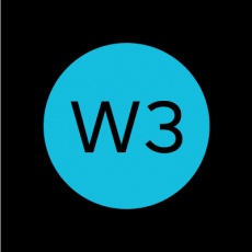 W3 Digital profile