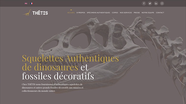 Thétis by Navega Bem Web Design