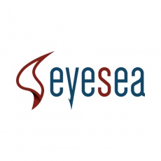 EyeSea Solutions profile