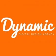 Dynamic Net Solutions profile